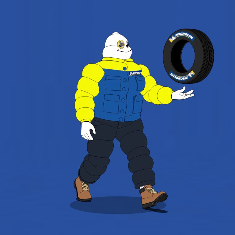 Michelin 3xplorer #2167