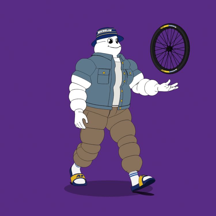 Michelin 3xplorer #169