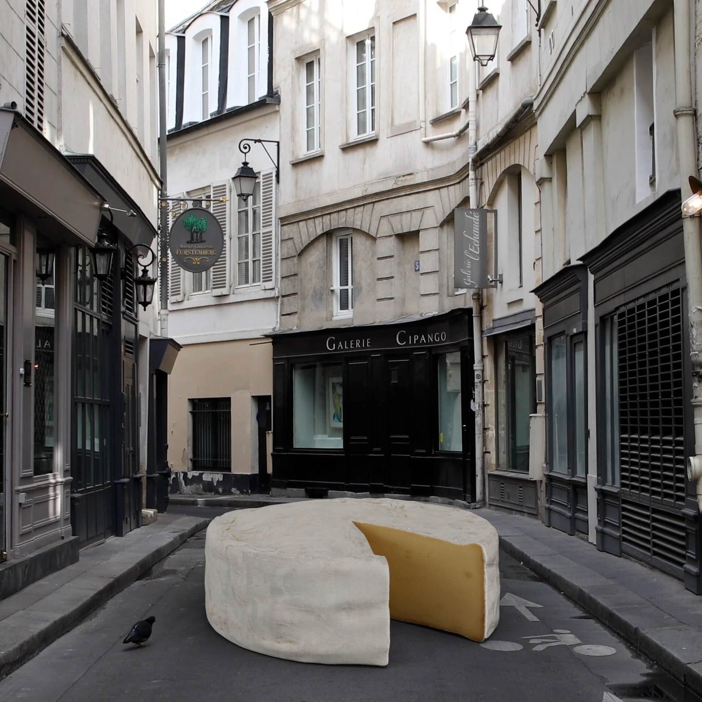 Not In Paris #261